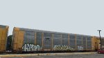 CSX B22107 (Body) TTGX 716175 (Flat)